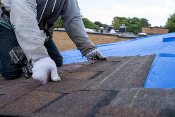 Best Local Roofing Companies  in Ethete, WY